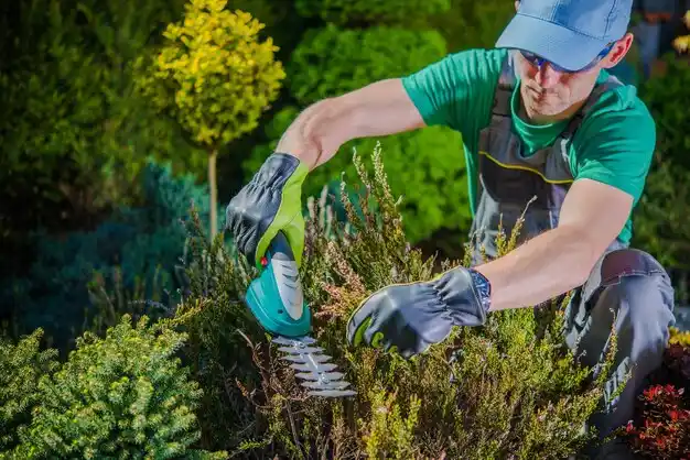 landscaping services Wilbur Park